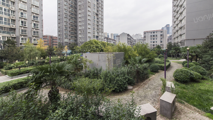 观洲国际外景图