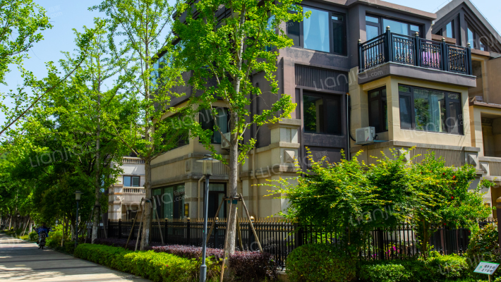 山林名墅外景图