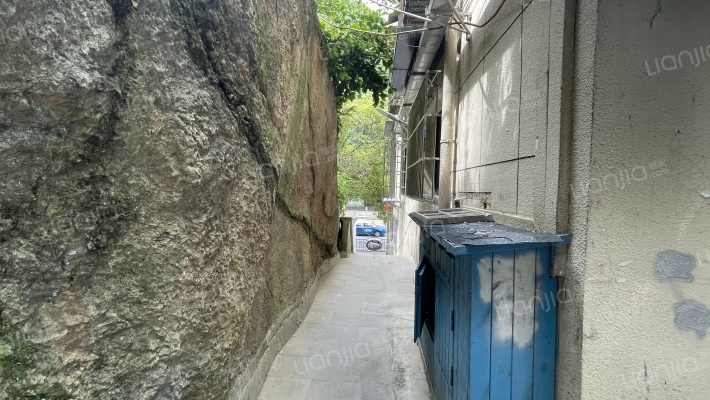 头桥路197号外景图