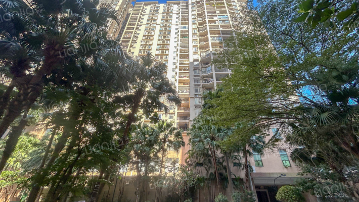 金河水岸二区外景图