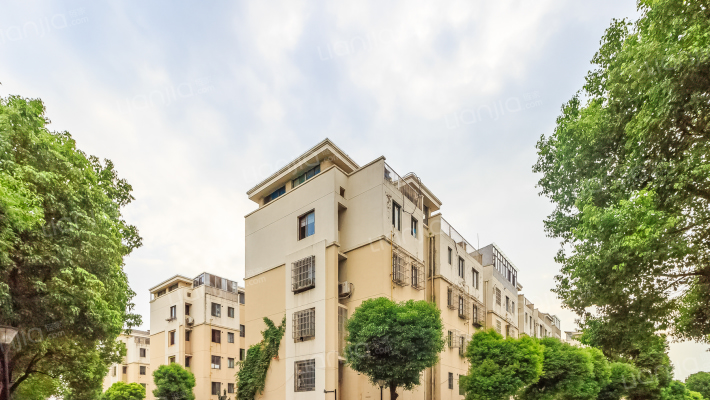 金澄花园一区外景图