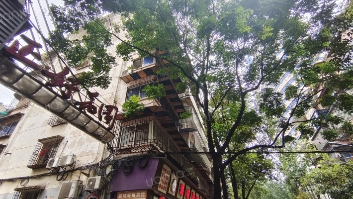 东珠市街18号外景图