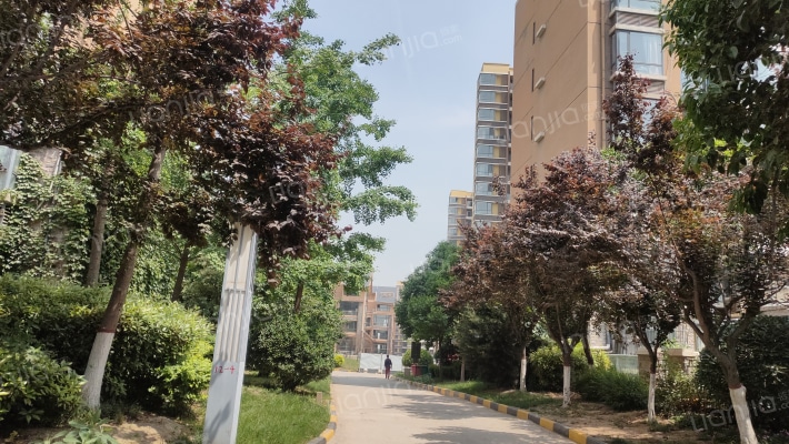 颐和盛世外景图