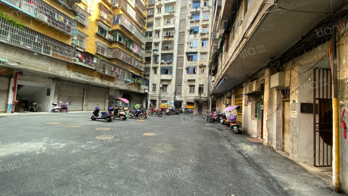 化肥厂家属院外景图