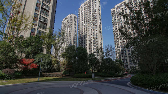 大家运河之星外景图