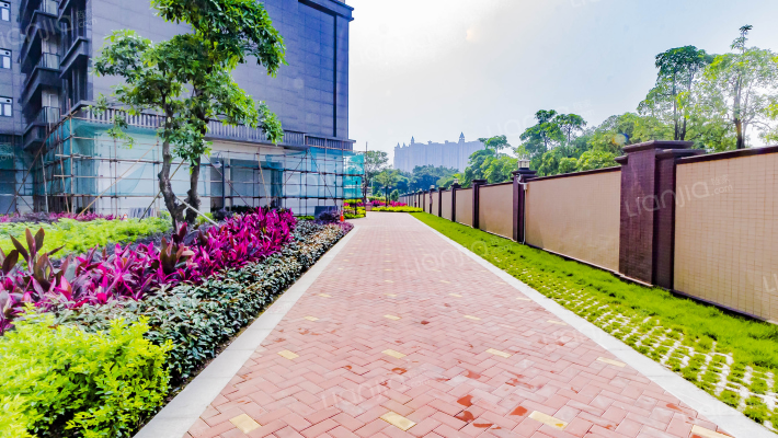 财神万利外景图