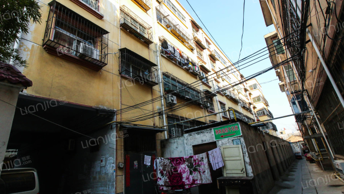 文兴路种子公司家属院外景图