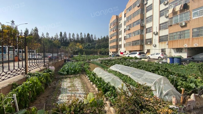 胶南市交通局家属院外景图