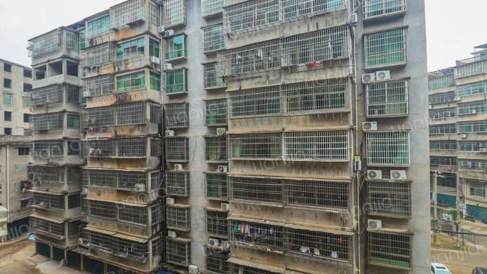 苗圃社区外景图