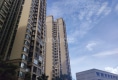 绿地海森林43