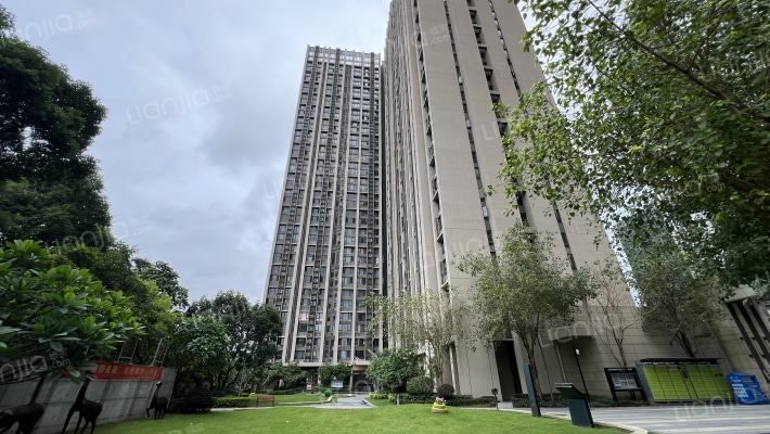 星河壹号公馆外景图