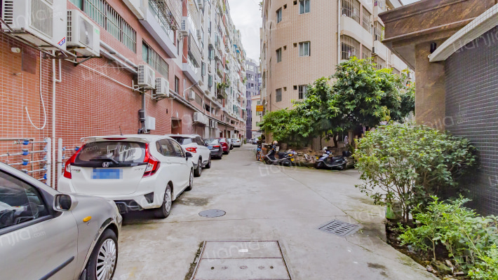 星月明轩外景图