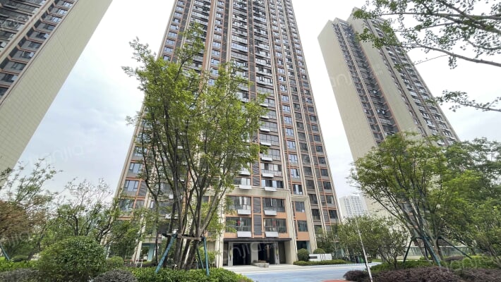 鑫龙·徐东│菁英府外景图