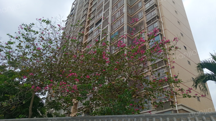 考试局宿舍外景图