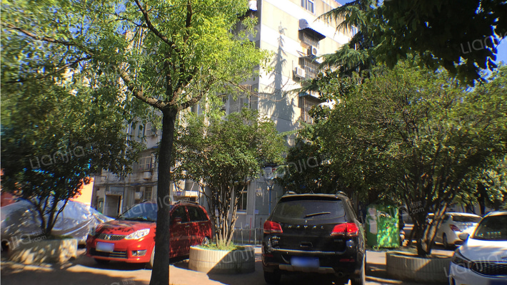 杏林花园外景图