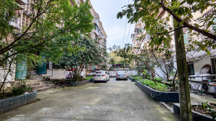 老干院落外景图