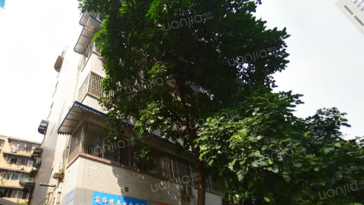 义学仁家外景图