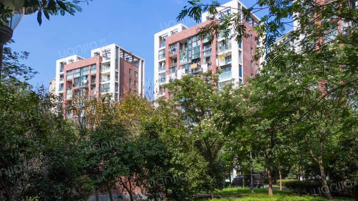 新桥佳园外景图