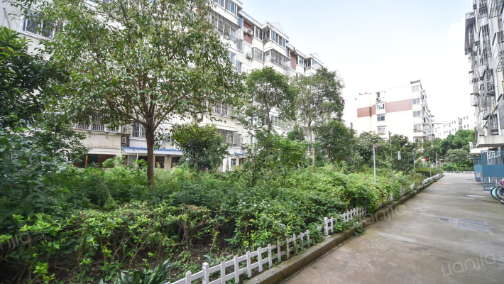 北港花苑外景图