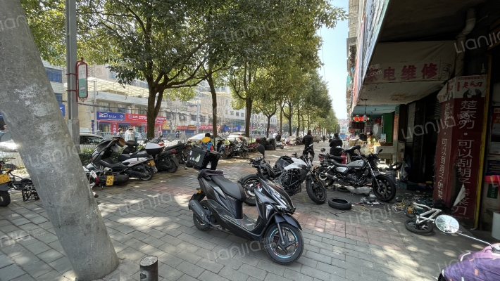 育才路26号外景图