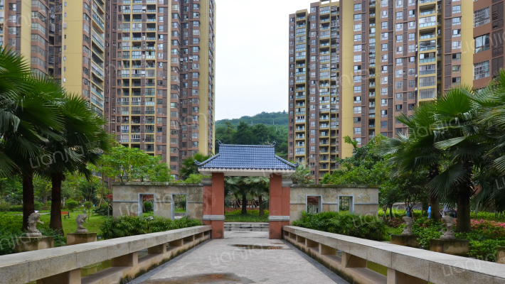 加洲国际外景图