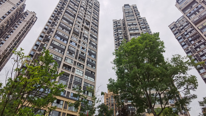 隆鑫印象东方外景图