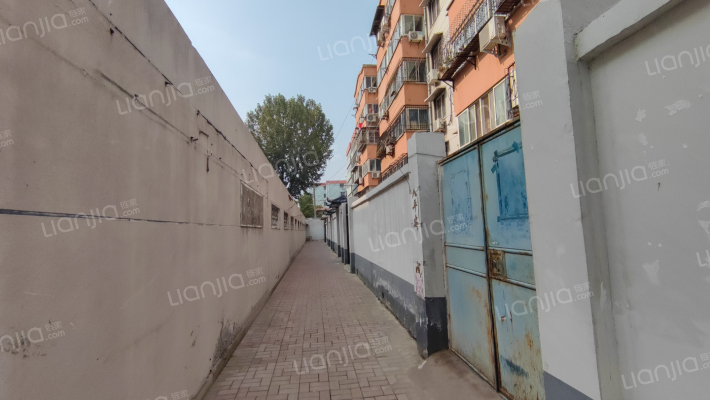 化肥厂家属院外景图