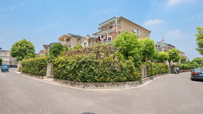 碧波枫铃外景图