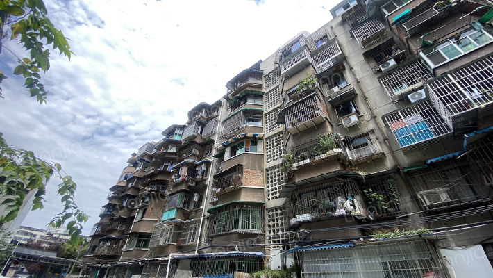 莲花新区北一巷4号外景图