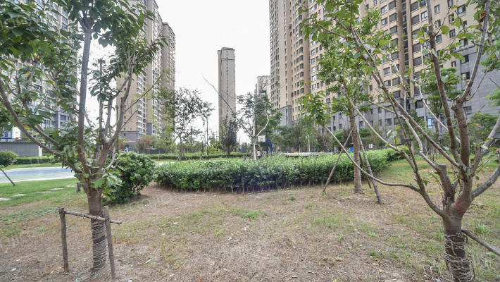 锦盛豪庭·北苑外景图