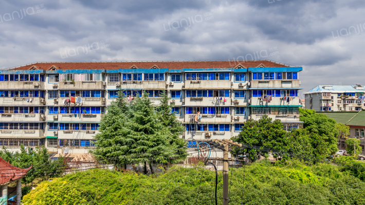 杨泰一村外景图