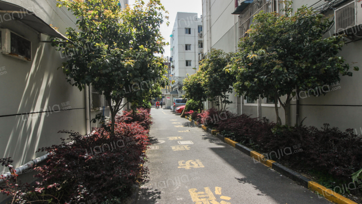 场中路805号外景图