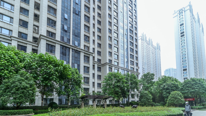 群贤道九号外景图