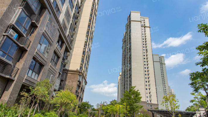 凤凰花城外景图