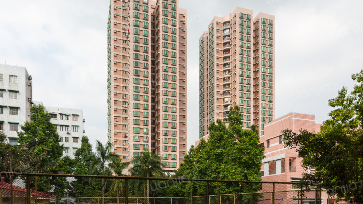 芳园居教师新村外景图