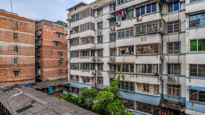 皮件厂生活区外景图