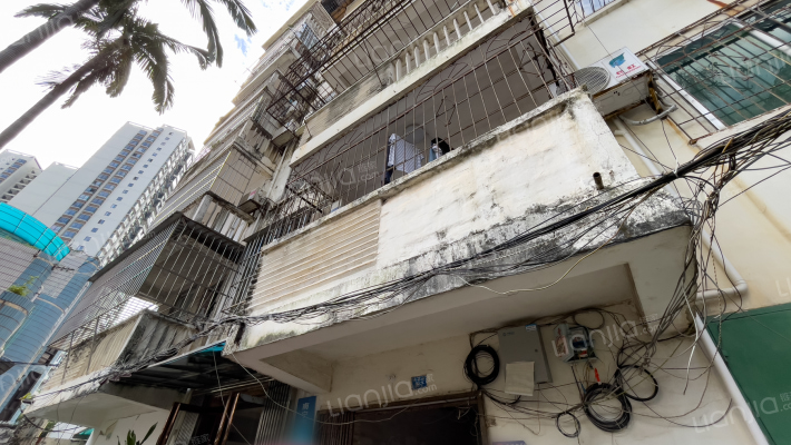 桃源路88-2号外景图