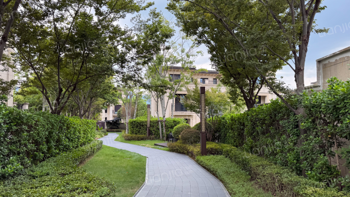 新江与城天奕外景图