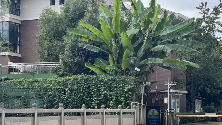 龙华花园别墅外景图