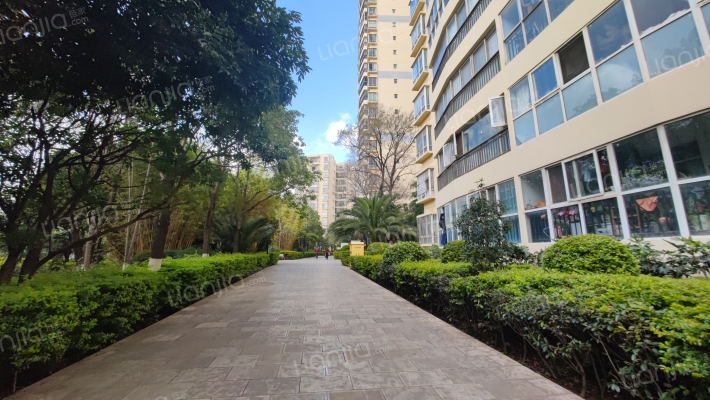 都市春天外景图