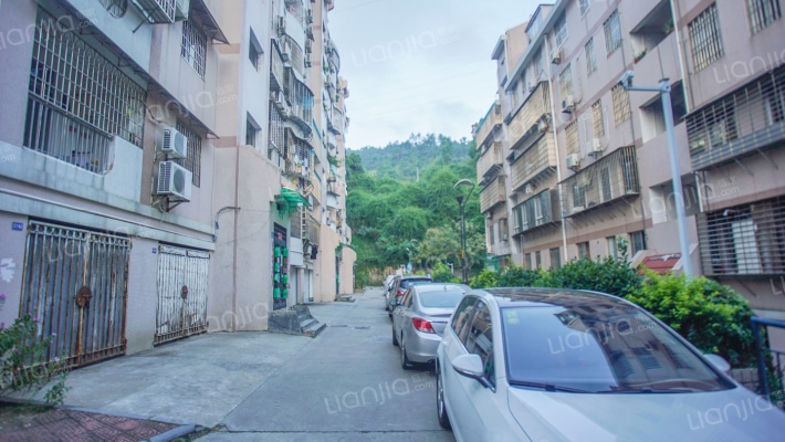 半山林海二期外景图