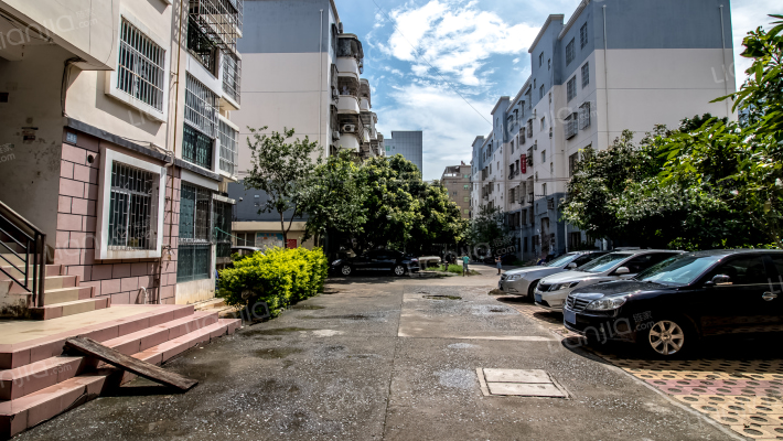 桥东小区外景图