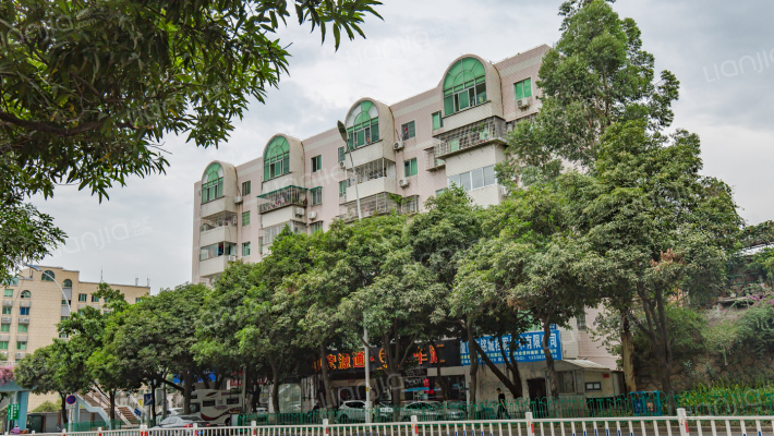 湖里大道外景图