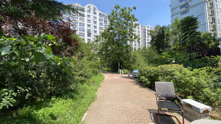 金秋桂园外景图