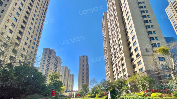 中发印象外滩外景图