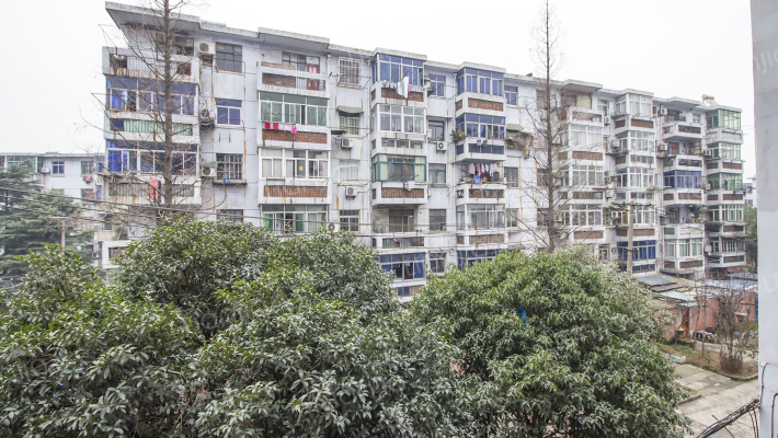 塘岔社区外景图