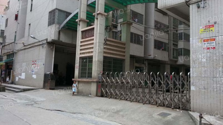 北社大厦外景图