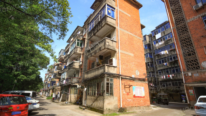 澄湖中大道外景图