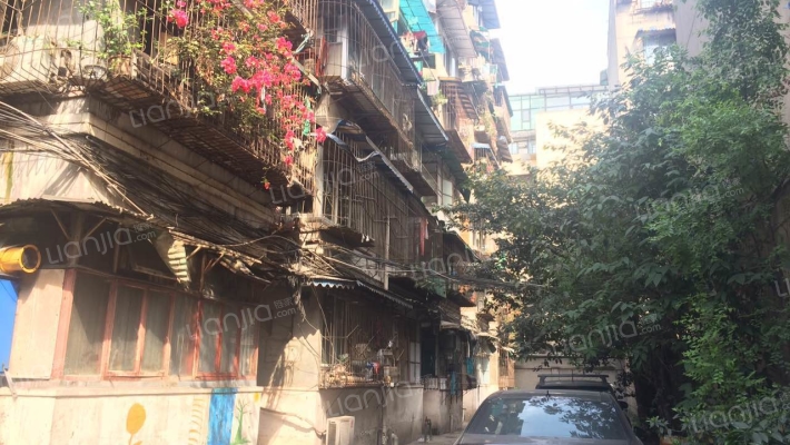 泡桐树街9号外景图