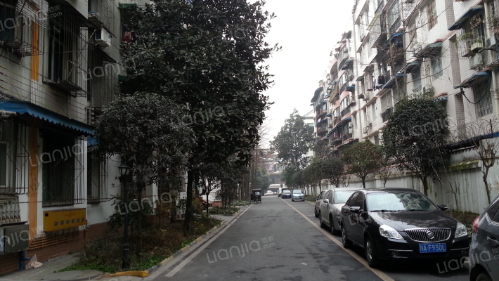 南浦路西段111号外景图